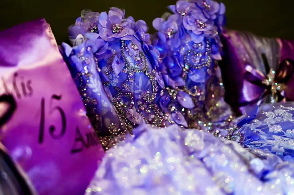 Mariachi · Quinceañera
