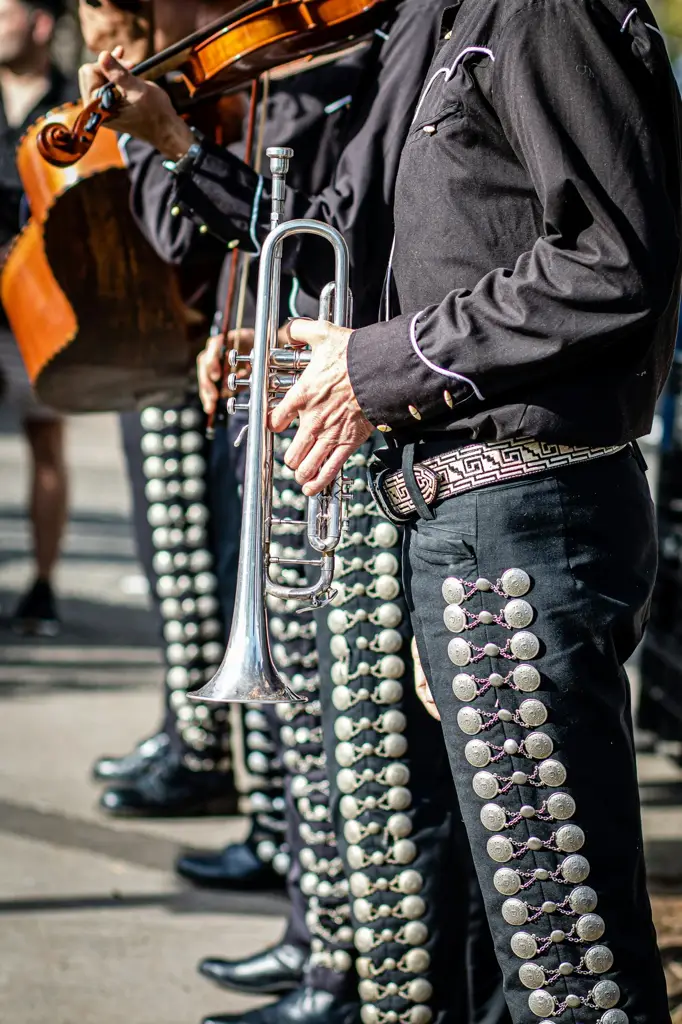 Mariachi · Trio, 30 minuti