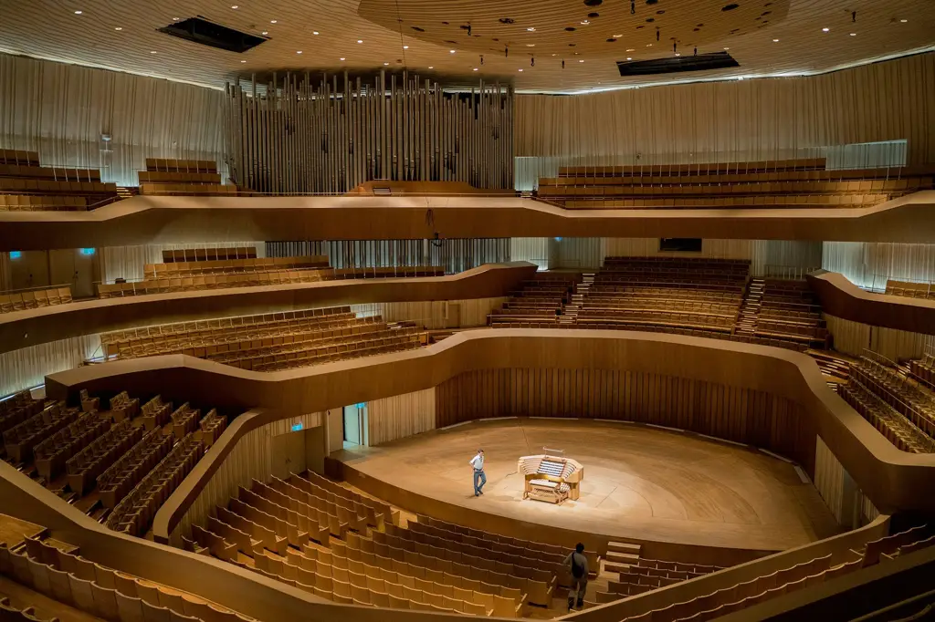 Quartetto d'archi · Concerto in teatro o auditorium